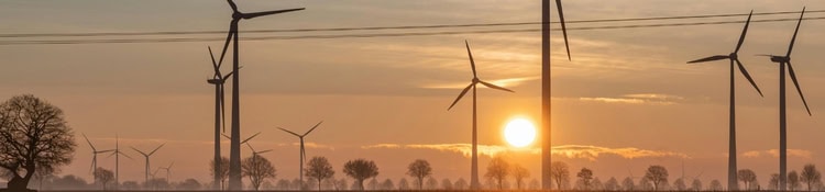 Wind turbines at sunset with the "Take Action" post title.
