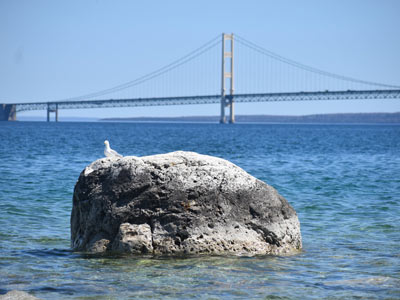 Michigan Climate Action Network logo on a rock by the water with a bridge in the background.
