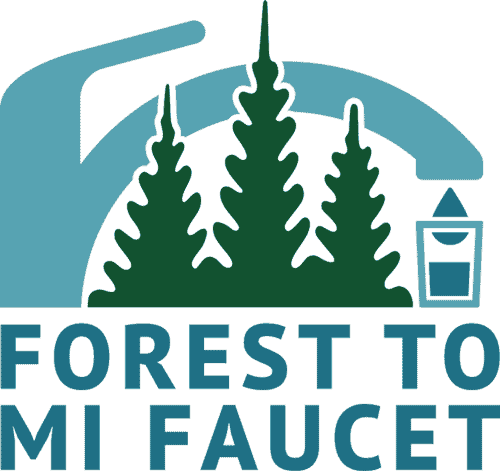Forest to mi faucet