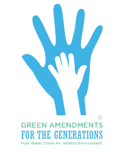 Michigan green amendment coalition