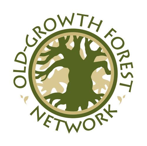 Old growth forest network
